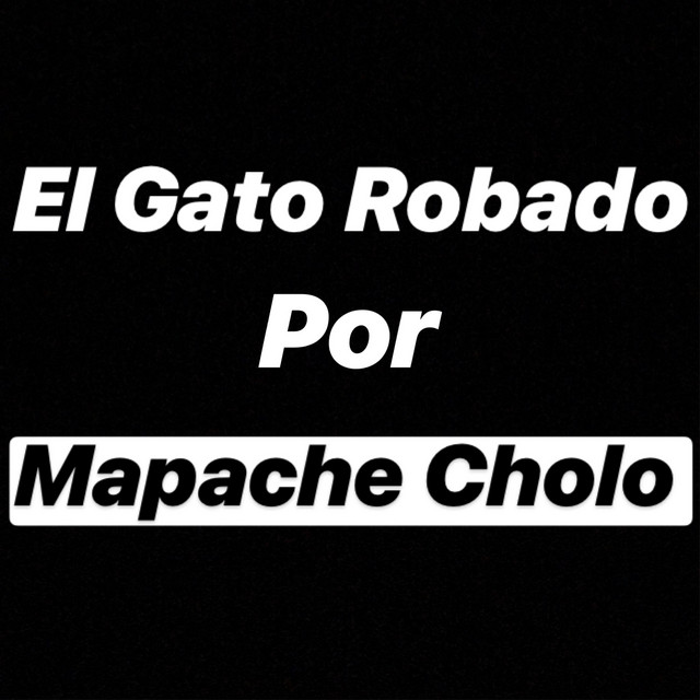El Gato Robado Por Mapache Cholo - Single by DJ Viral S | Spotify
