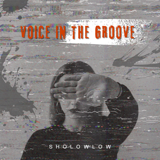 Voice In The Groove