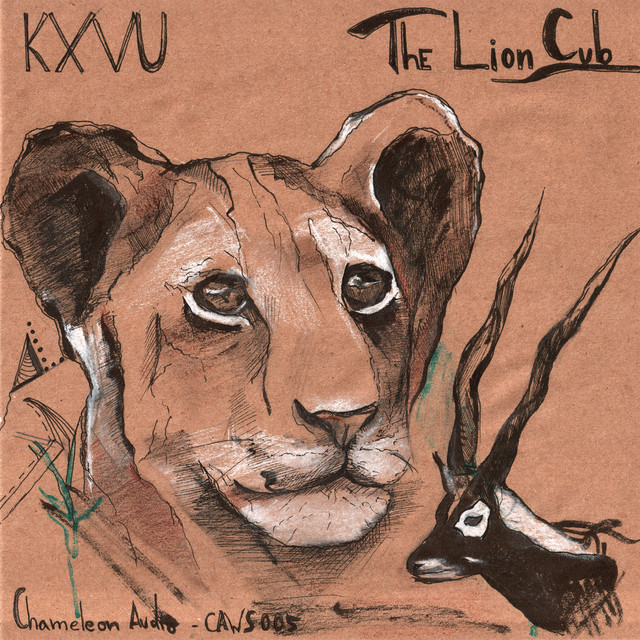 Cub Bubblin' cover art