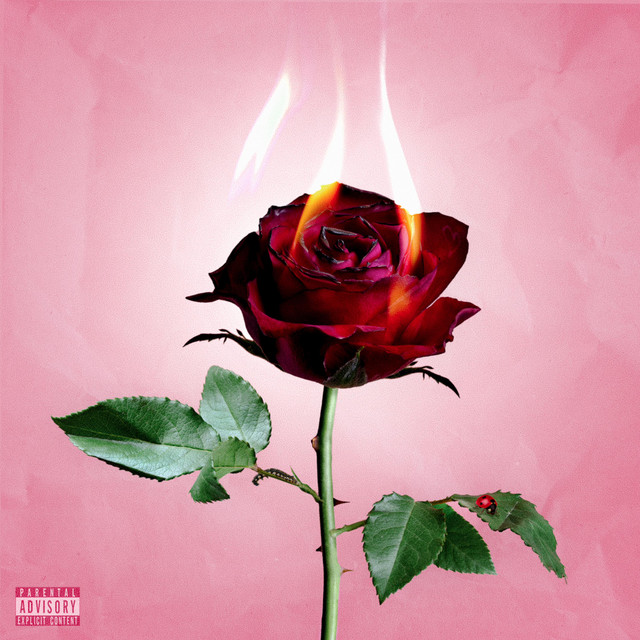 Jolie Dame - Single by Napaj music | Spotify