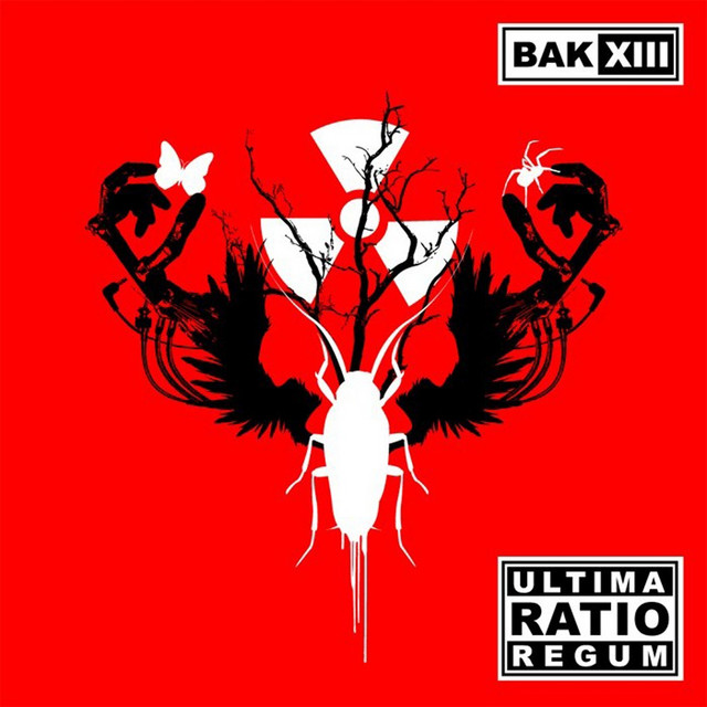Ultima Ratio Regum cover art