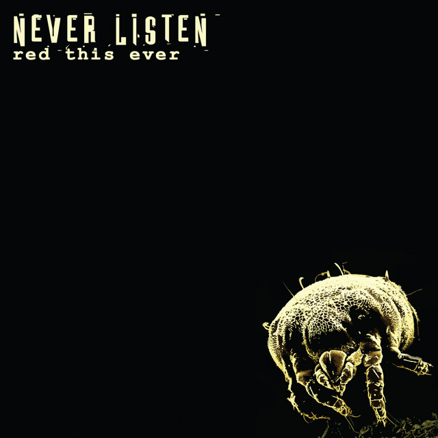 Never Listen cover