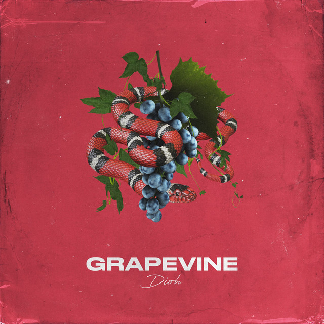 Grapevine cover art