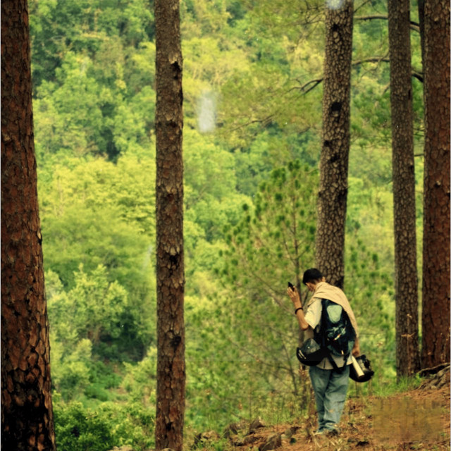 NAINA cover art
