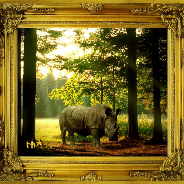 Rhinostar cover