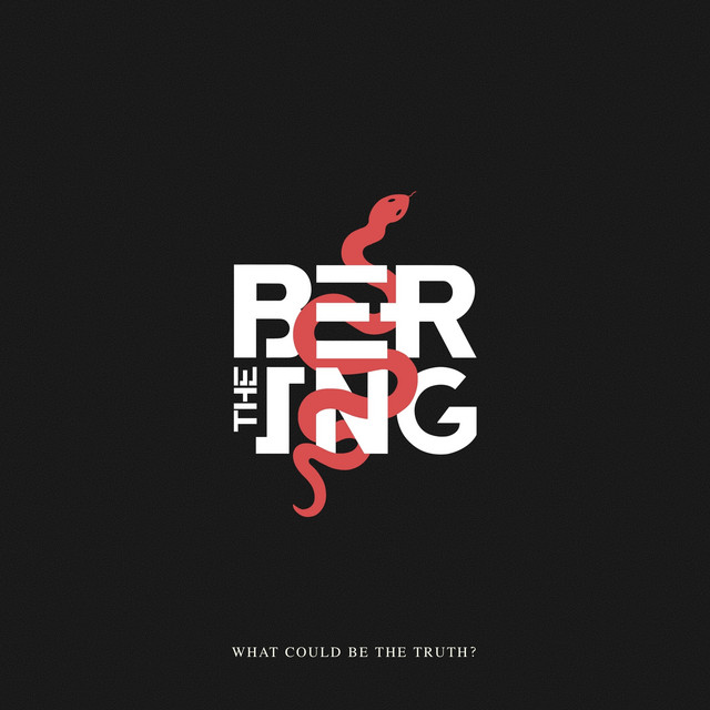What Could Be The Truth? cover art