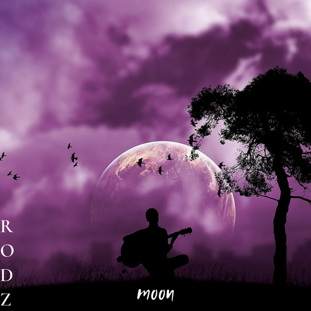 Обкладинка: Moon — Rodz