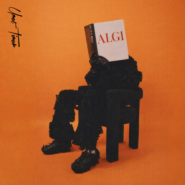 undefined album image