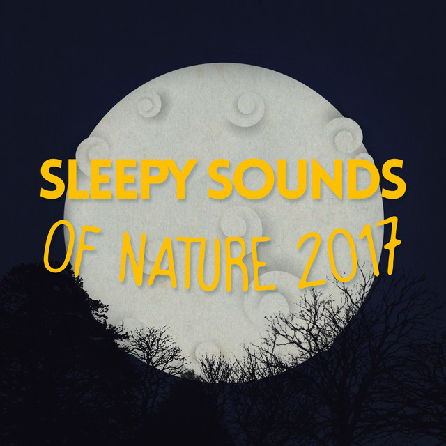 Sleepy Sounds of Nature 2017 - Album by Sleep Sounds of Nature | Spotify