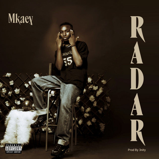 Radar - Single by Mkaey | Spotify