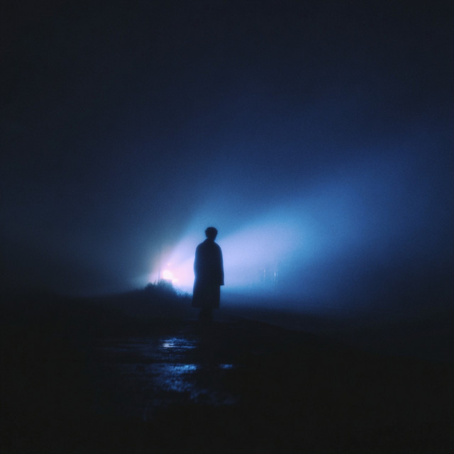 Shadows Never Fade
