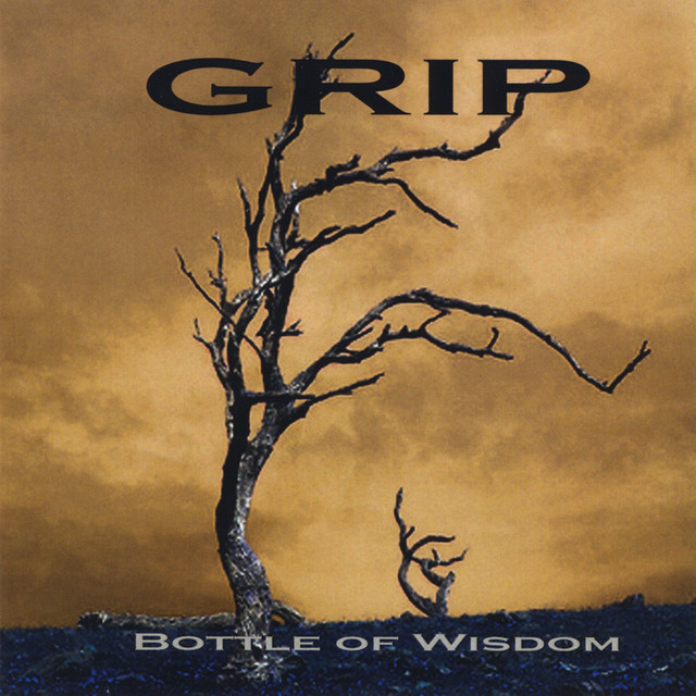 Bottle Of Wisdom cover art