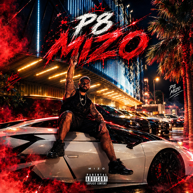p8 cover