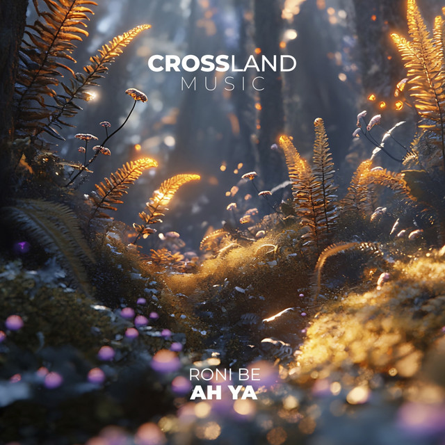 Ah Ya cover art