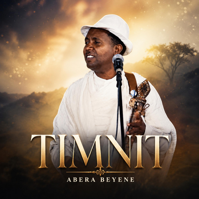 Timnit (Live) album image