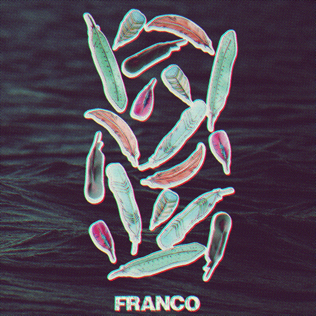Обкладинка FRANCO — Птахи