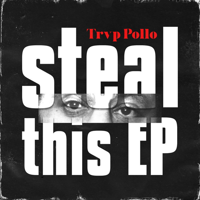 Steal This cover art