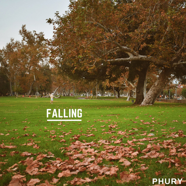 Falling cover art