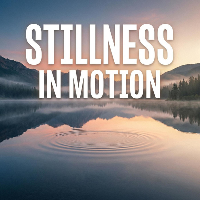 Stillness in Motion cover