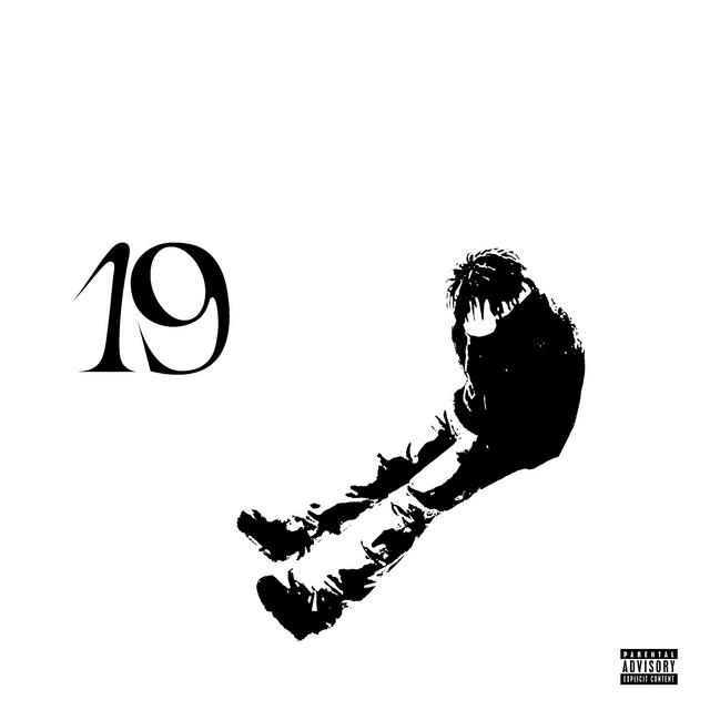 19 cover art