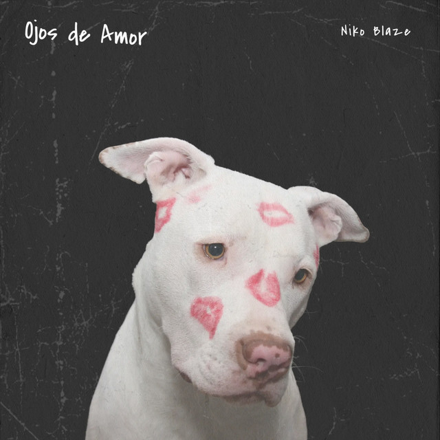 Ojos de Amor cover