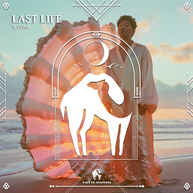 Cover art: Last Life — WVONK