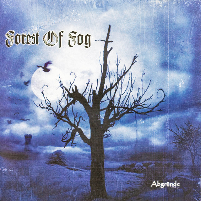 Forest of Fog Photo