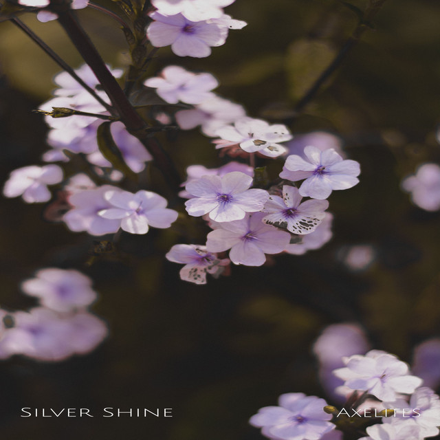 Silver Shine cover art
