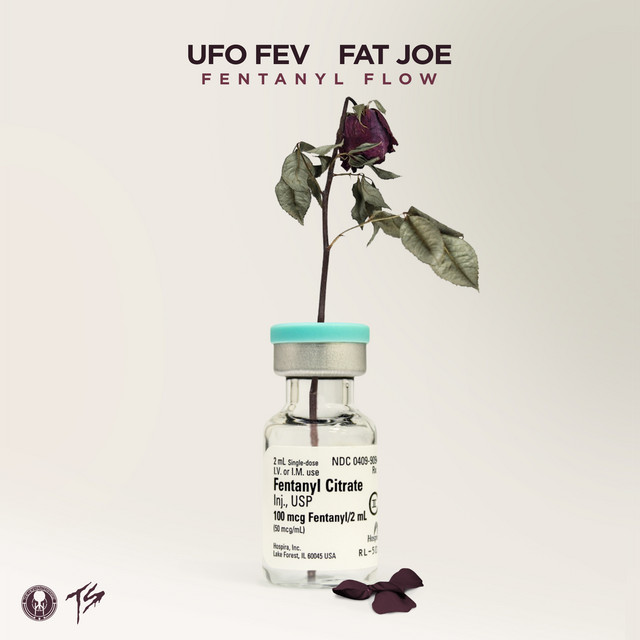 Fentanyl Flow (feat. Fat Joe) - Radio Edit
