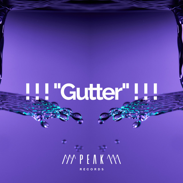 Gutter