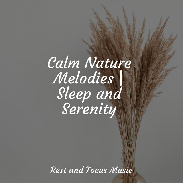 Calm Nature Melodies | Sleep and Serenity - Album by Lullabies for Deep ...