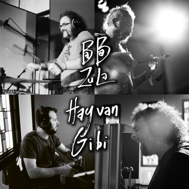 Hayvan Gibi cover art