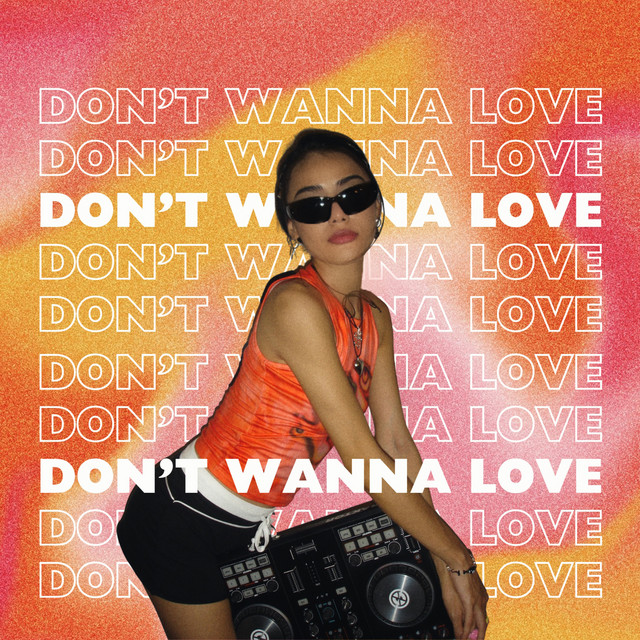 Don't Wanna Love