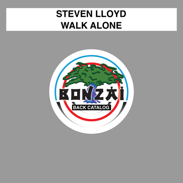 Walk Alone - Original Mix cover art