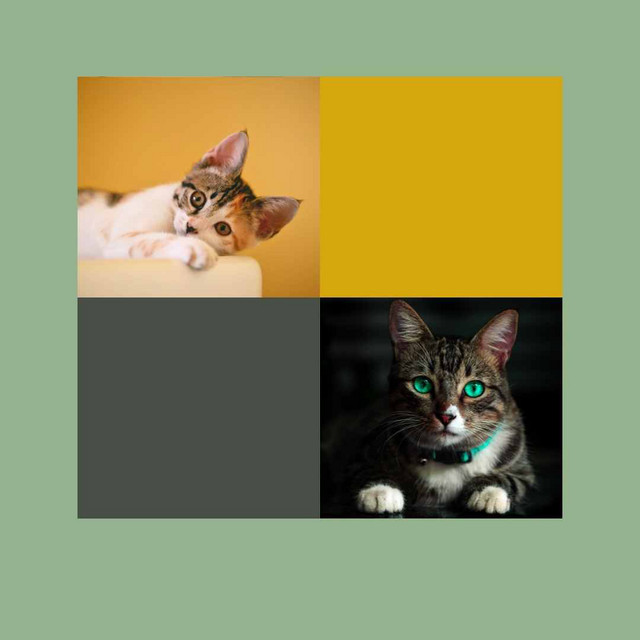Phenomenal Ambiance for Happy Cat cover art