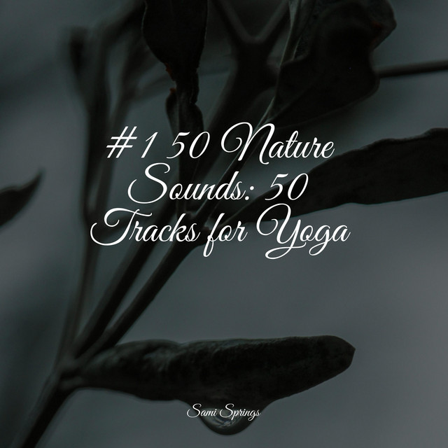 #1 50 Nature Sounds: 50 Tracks for Yoga - Album by Preschool Kids | Spotify