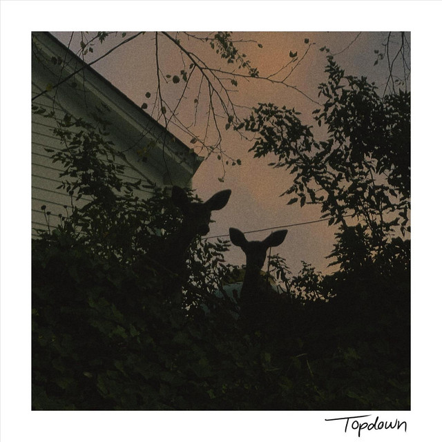Topdown cover art