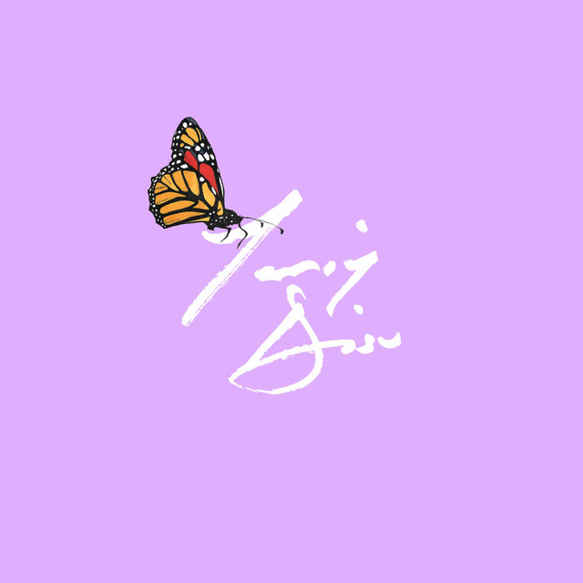 Butterfly cover