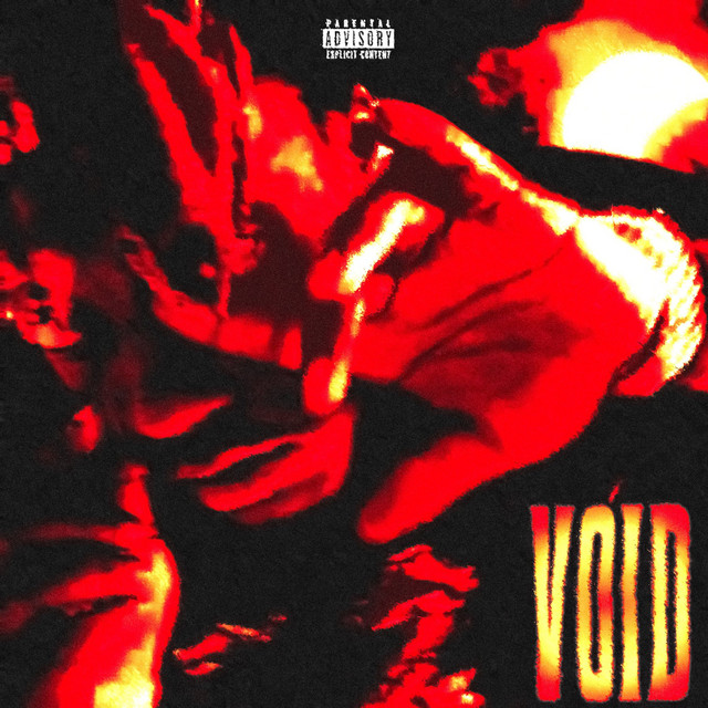 Void cover art