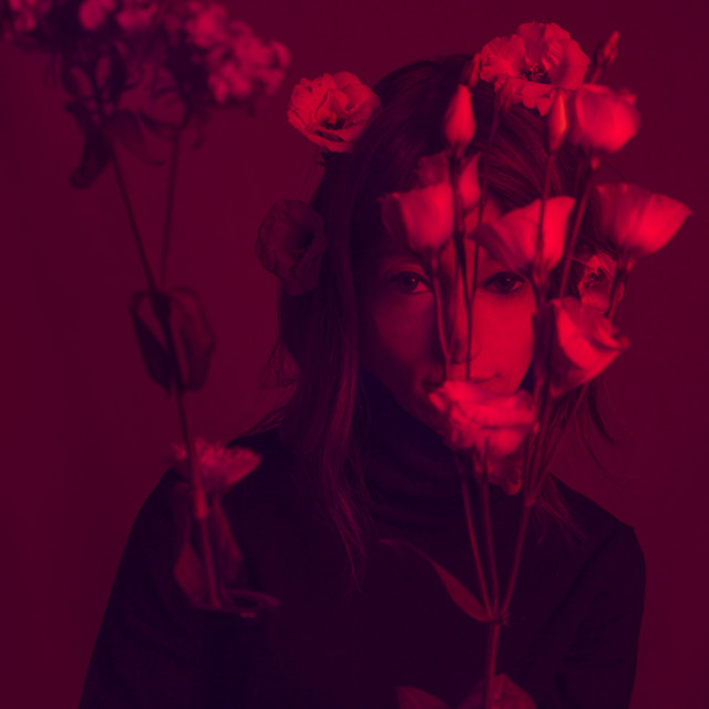 Why Do Flowers Mean Love? cover art