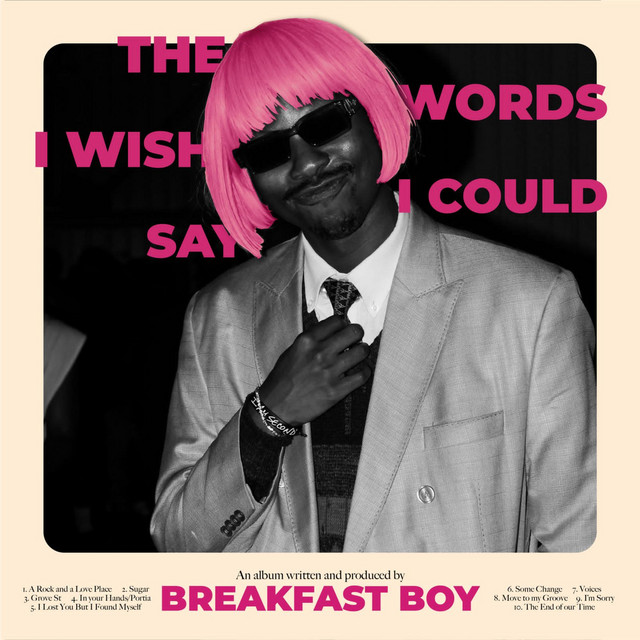 The Words I Wish I Could Say cover art