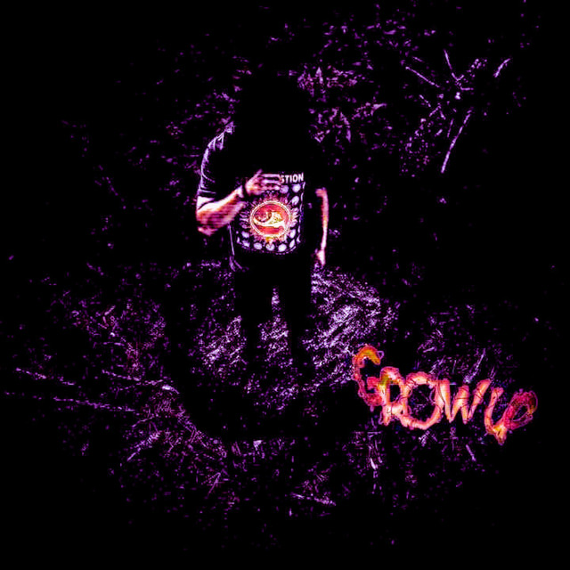 Grow Up cover art