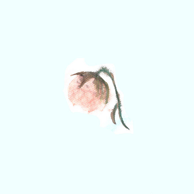 flowers for the heavy hearted