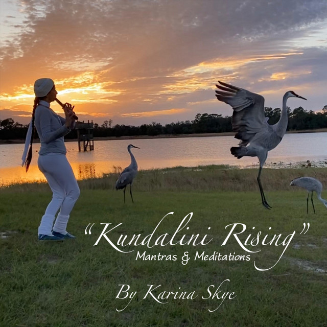 Sodarshan Chakra Kriya (Transformation, Balance and Intuition) cover art