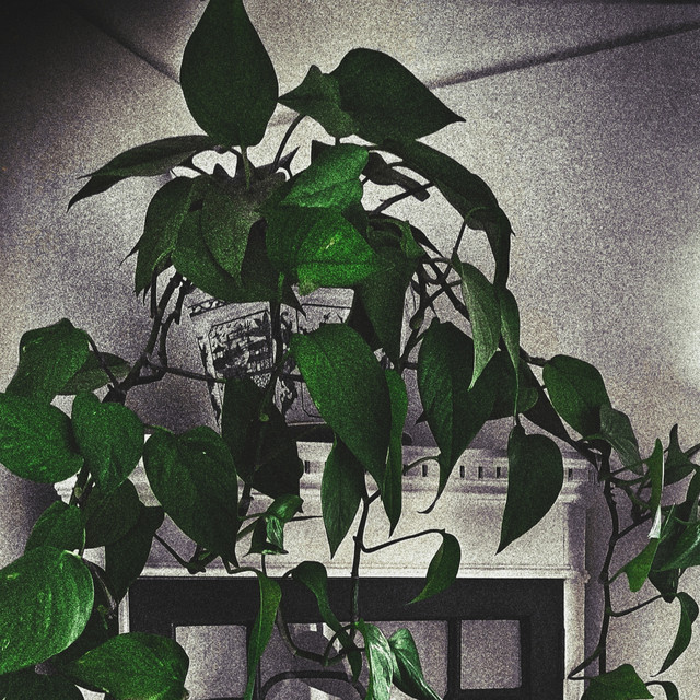 Leave This Town cover art