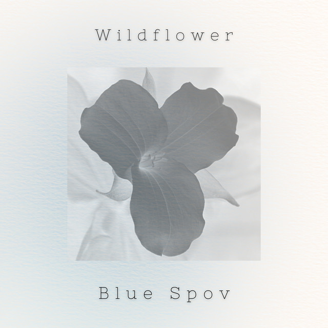 Wildflower cover art