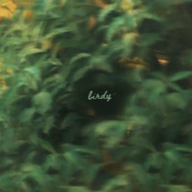 Birdy