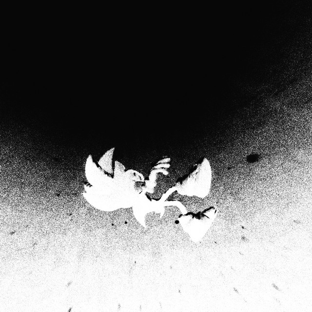 Was mach' ich auf der Welt? album image