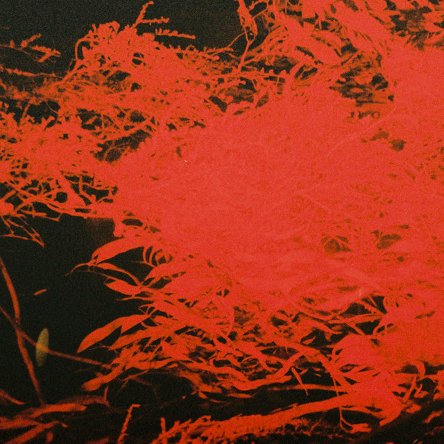 In Studio Magic cover art