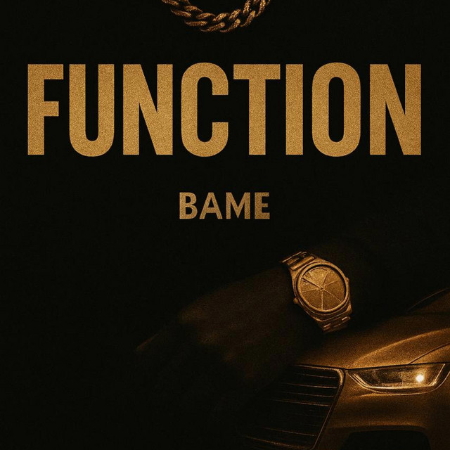FUNCTION cover art